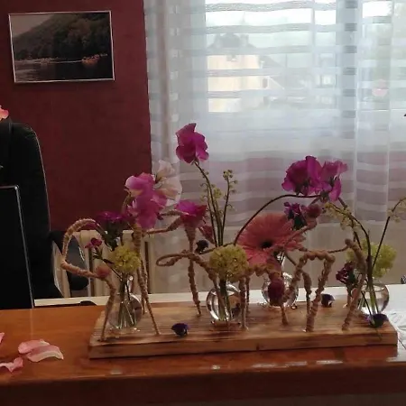 Belle Vue Hotel Souillac